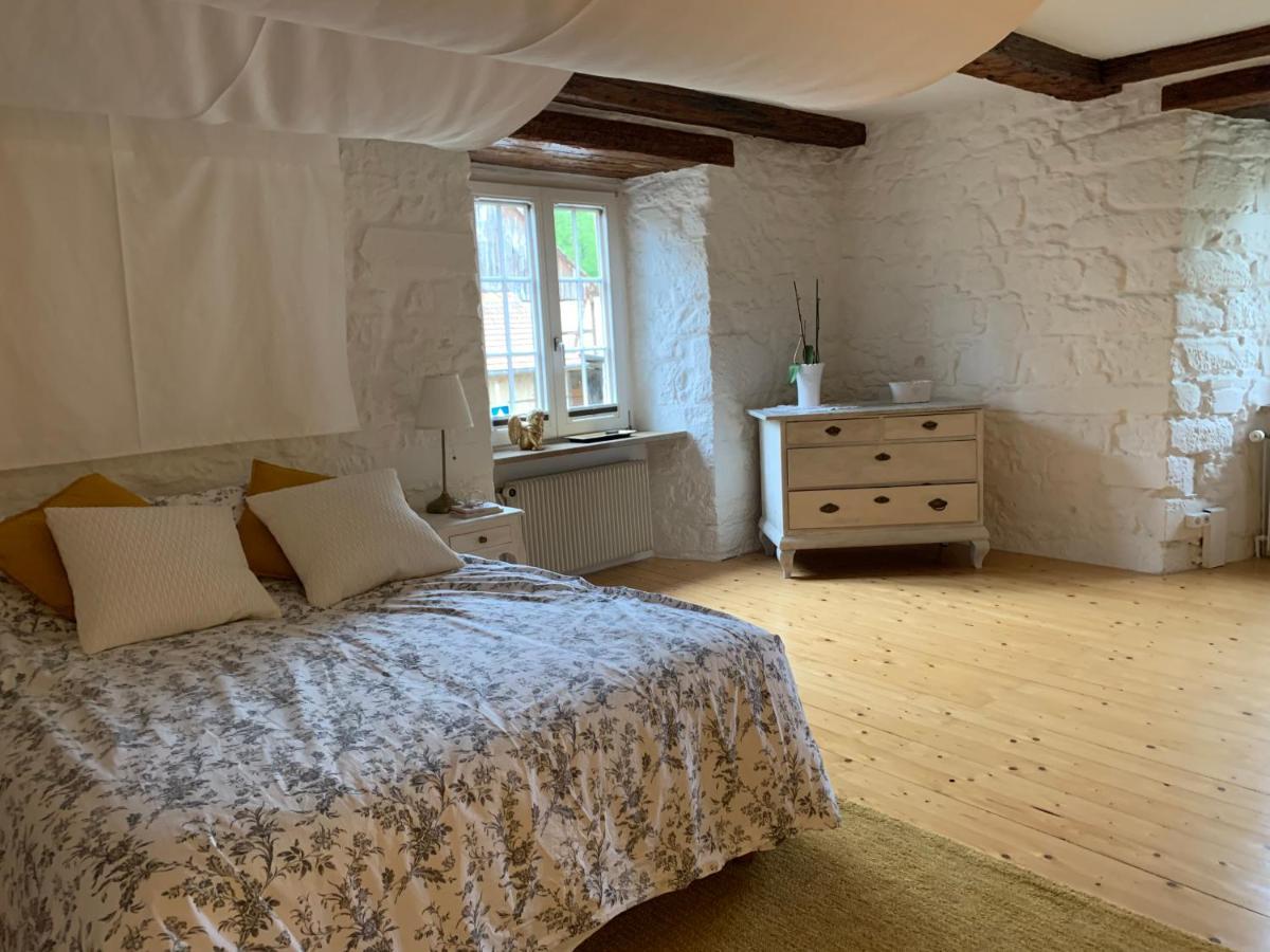 Maison De Charme "Le Moulin D'Hagenthal" - Chambre Baroque Διαμέρισμα Εξωτερικό φωτογραφία
